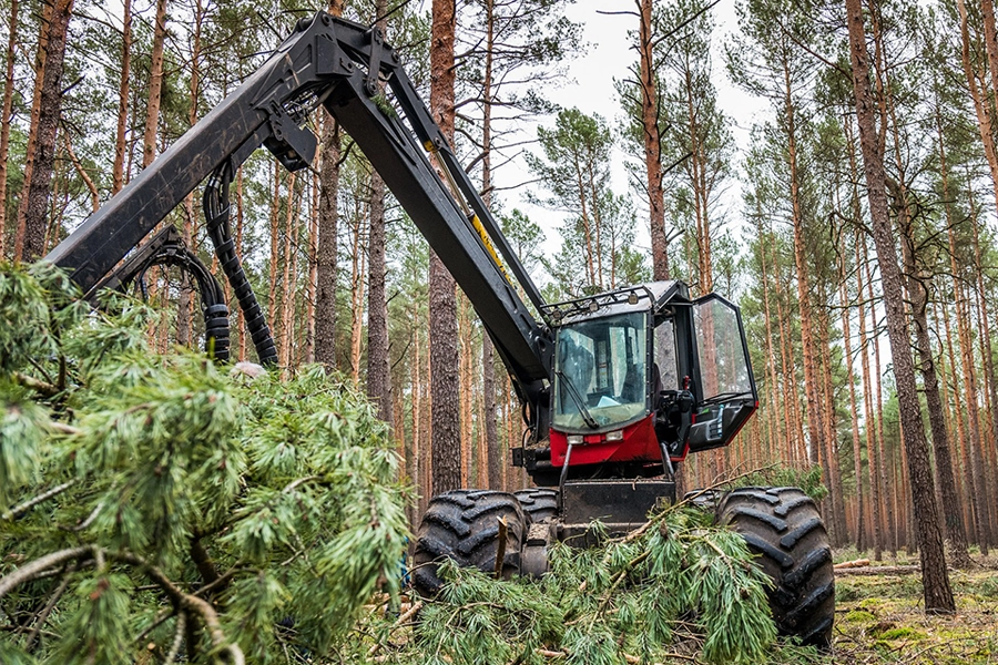Red harvester in the forest.