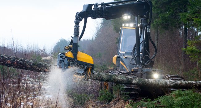 Black and yellow forestry harvester in action.